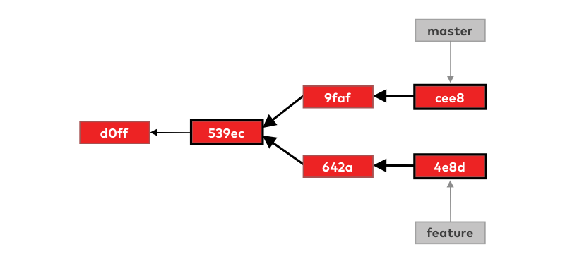 Merge making finding base