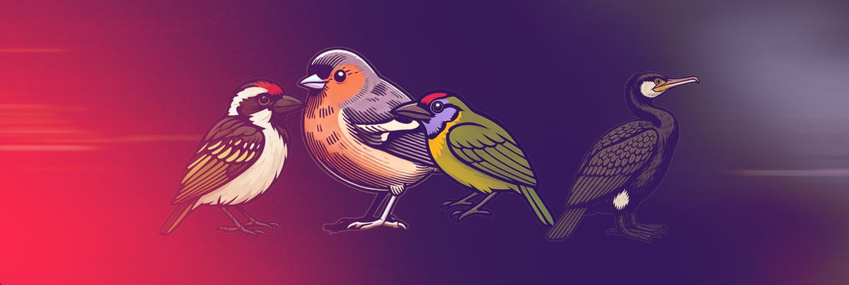 Bootstrapping a birding database using GenAI (Part 2)